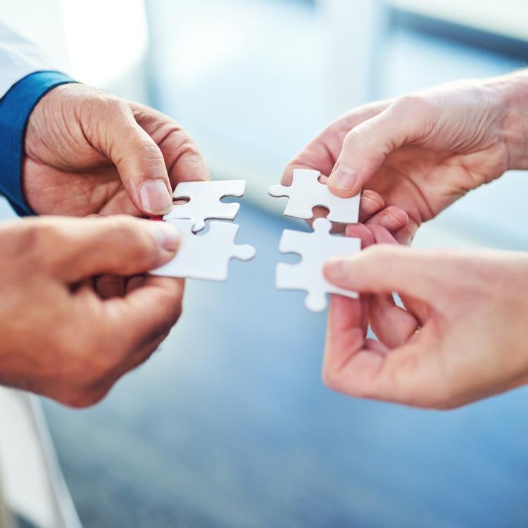 Accountable Care Organization and Care Coordination